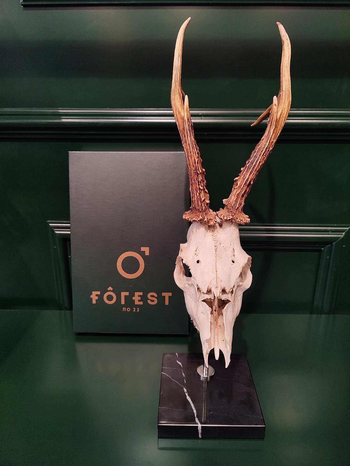 Forest No 22 <br> Roe Buck Marble Mount Black